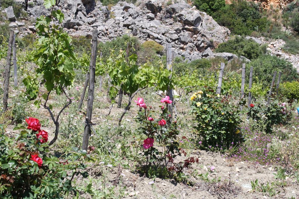 Casale Corcella Bed and Breakfast Scopello  Εξωτερικό φωτογραφία